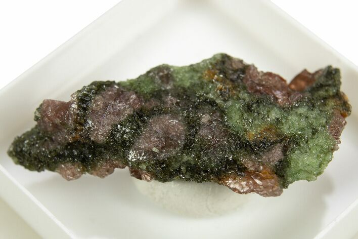 Pyrope, Forsterite, Diopside & Omphacite Association - Norway #309760